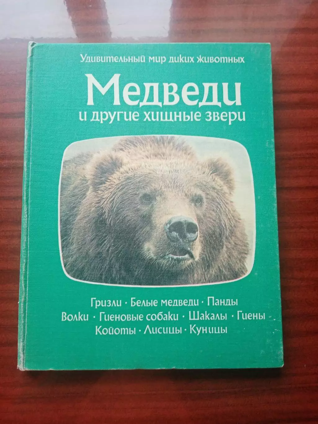 Огдэн Теннер. Медведи и другие хищные звери. 1980 год
