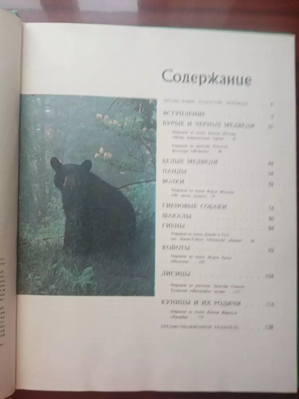 Огдэн Теннер. Медведи и другие хищные звери. 1980 год 3