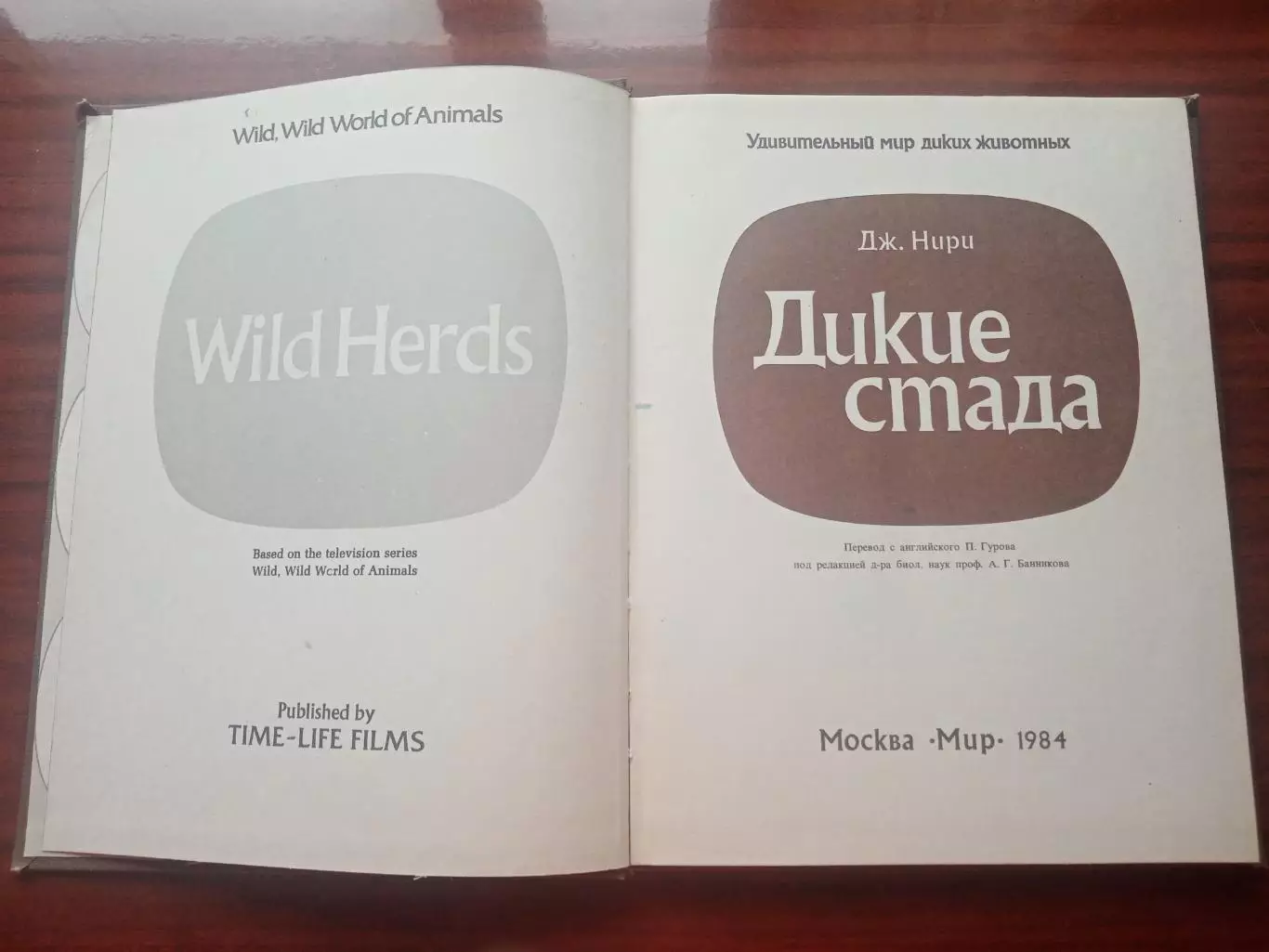 Джон Нири. Дикие стада. 1984 год 1
