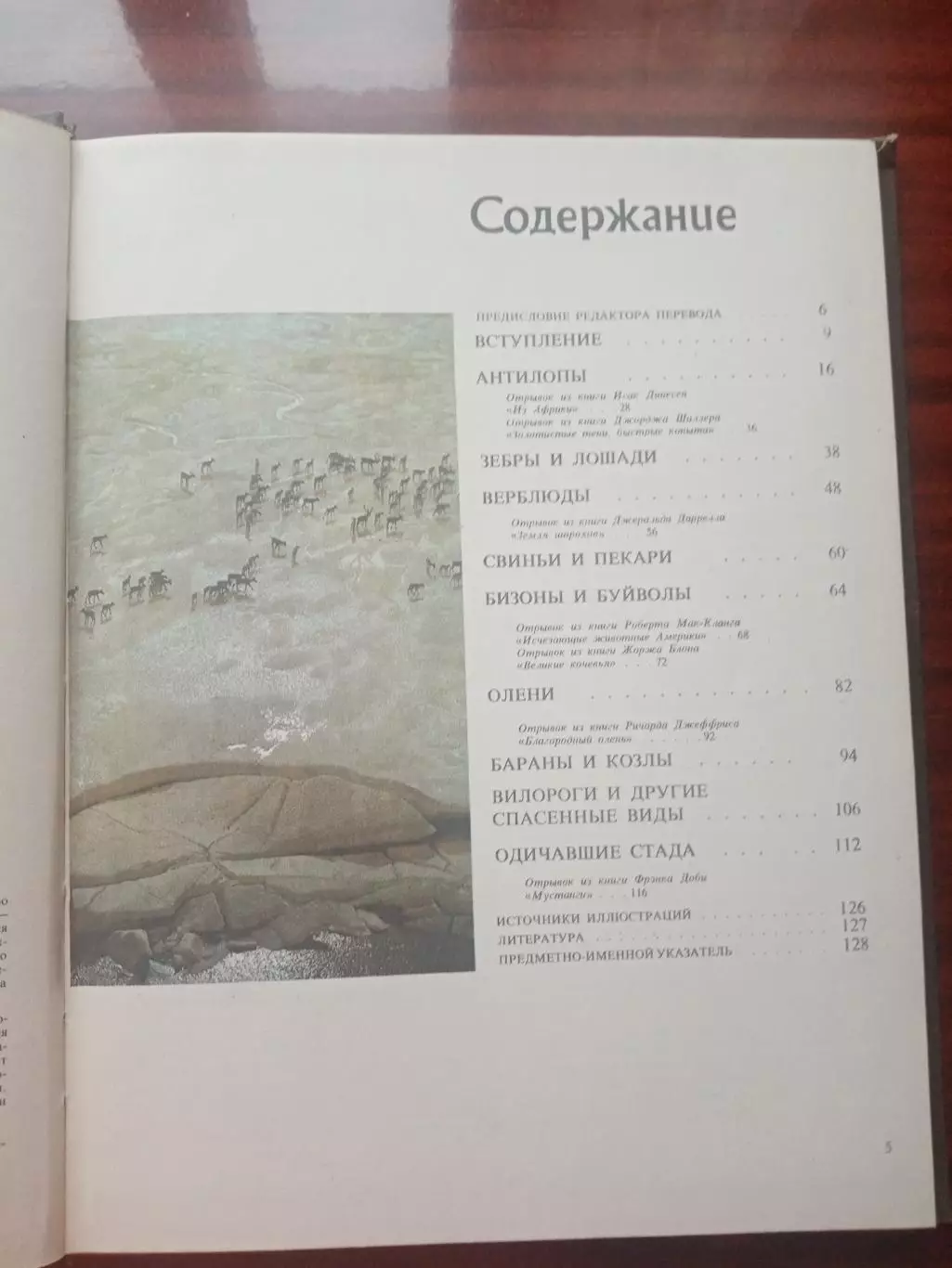 Джон Нири. Дикие стада. 1984 год 3