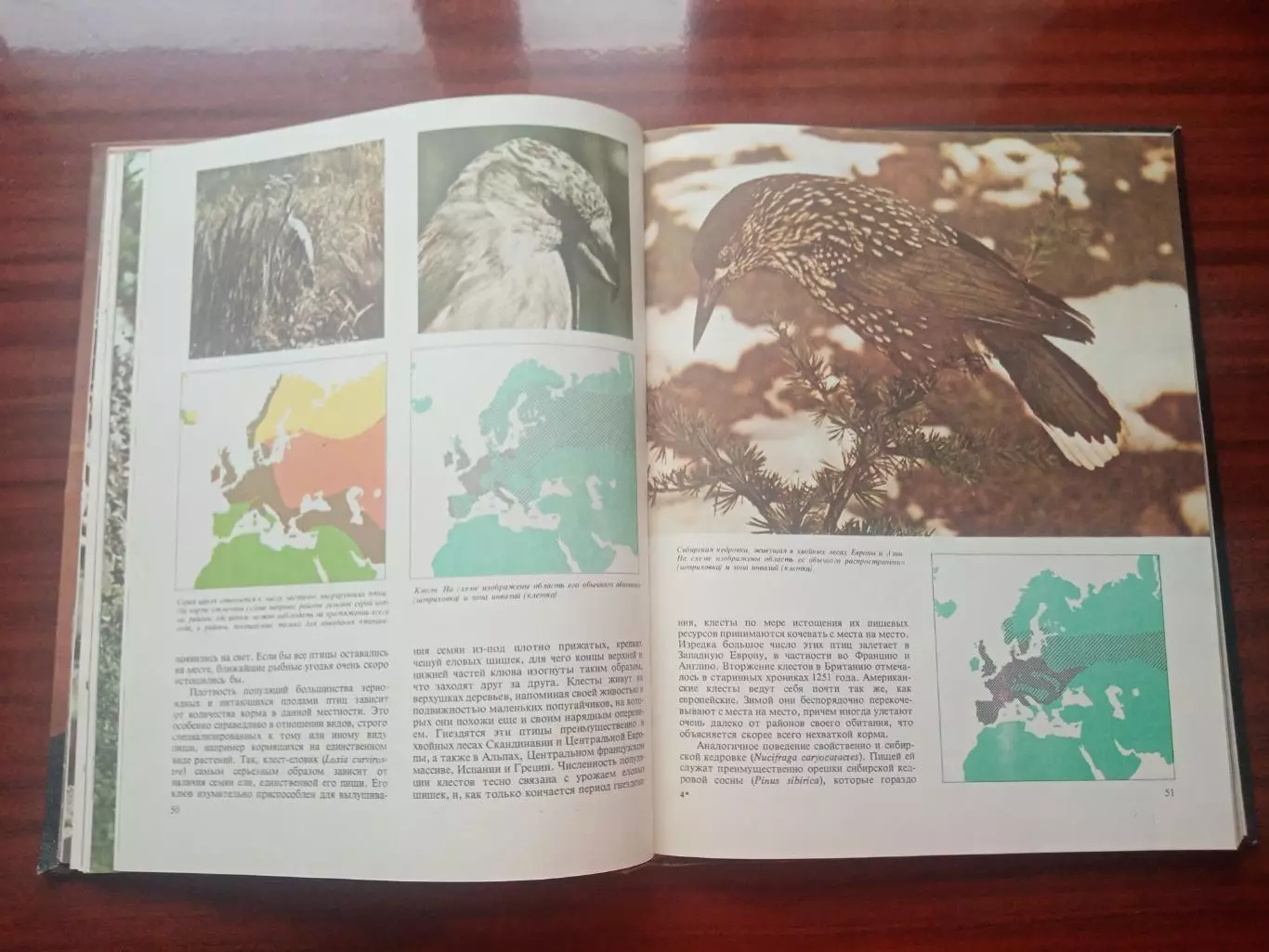 Джон Клаудсли-Томпсон. Миграция животных. 1982 год 5