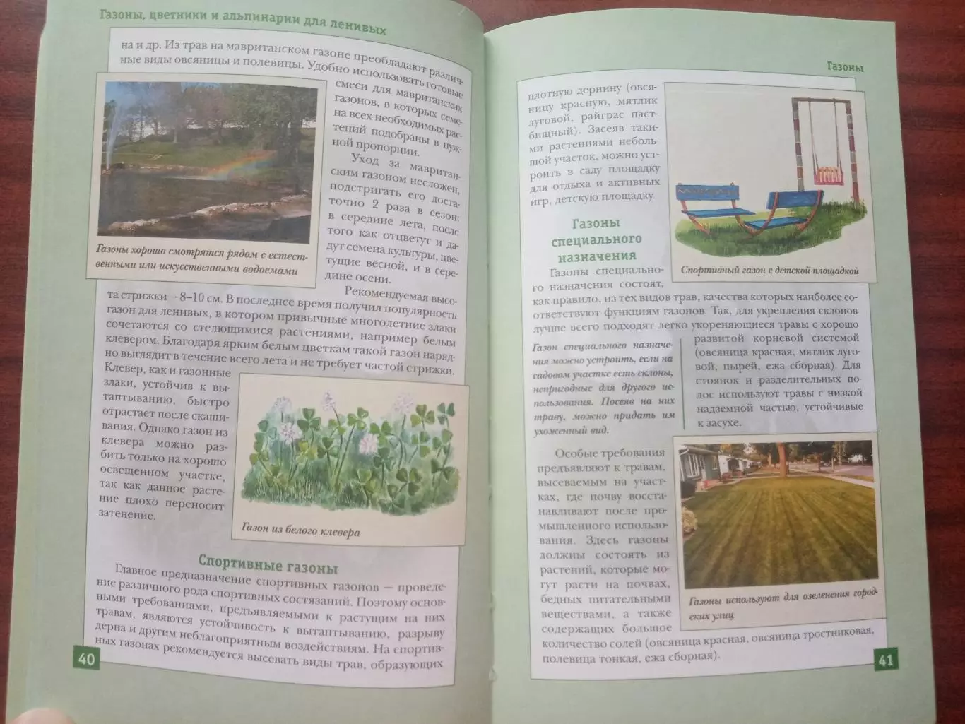 Газоны, цветники и альпинарии для ленивых. 2005 год. 6
