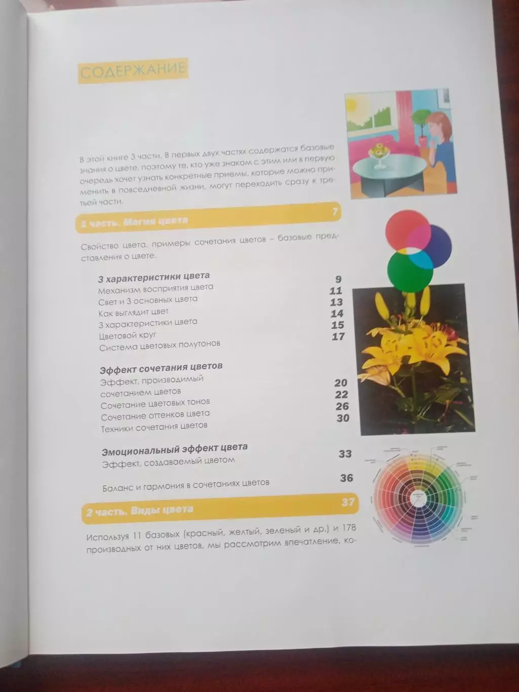 Бояринова С. Главные правила сочетания цветов 3