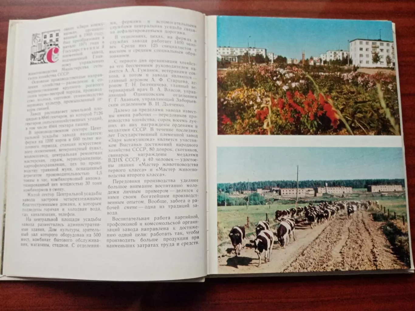 Фотоальбом Заря коммунизма. 1974 год 4