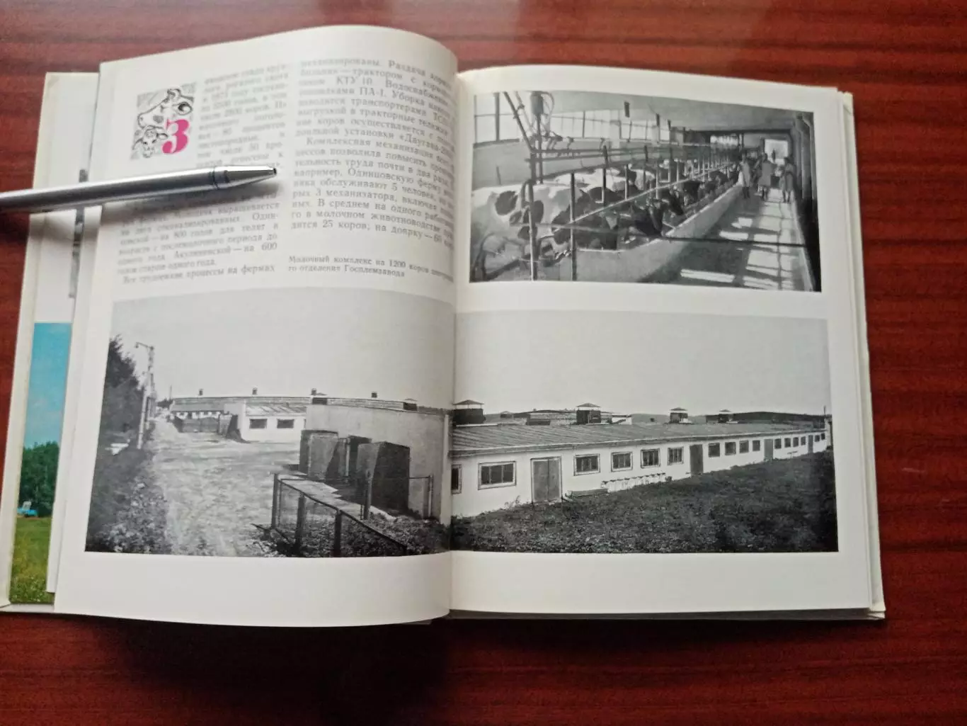 Фотоальбом Заря коммунизма. 1974 год 7