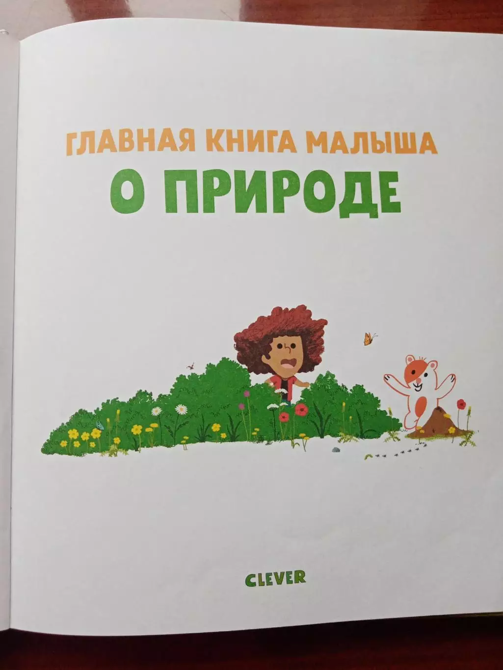 Главная книга малыша о природе. 2019 год 1