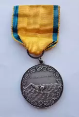 Медаль 2 место чемпионата Швеции по плаванию