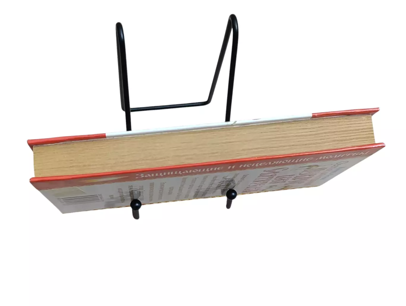 Матушка Фотиния Особый Молитвенный Покров всех святителей 2009 5