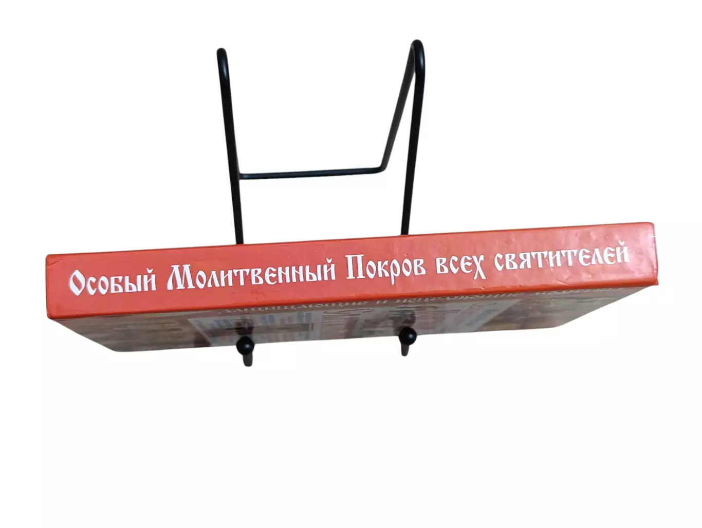 Матушка Фотиния Особый Молитвенный Покров всех святителей 2009 7