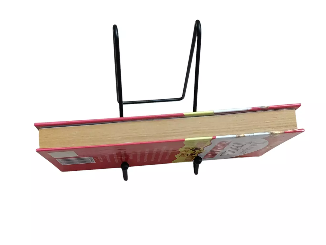 Матушка Фотиния Так исцеляет Господь. Семейный целебник 2009 6