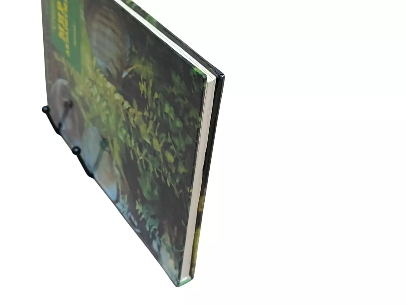 Романишин Г. Ф., Мишин В. Н. Мир аквариума 1989 2