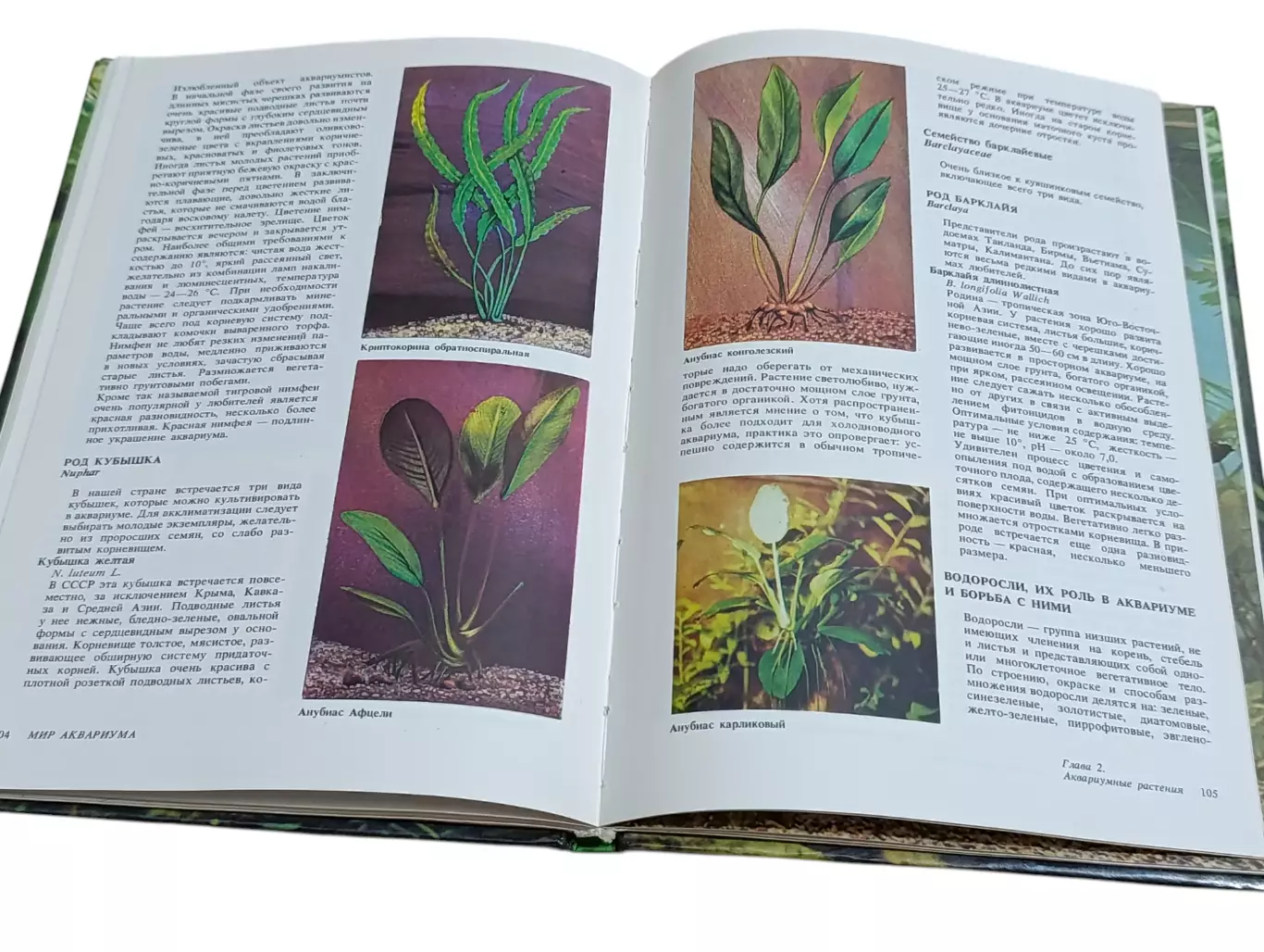 Романишин Г. Ф., Мишин В. Н. Мир аквариума 1989 6