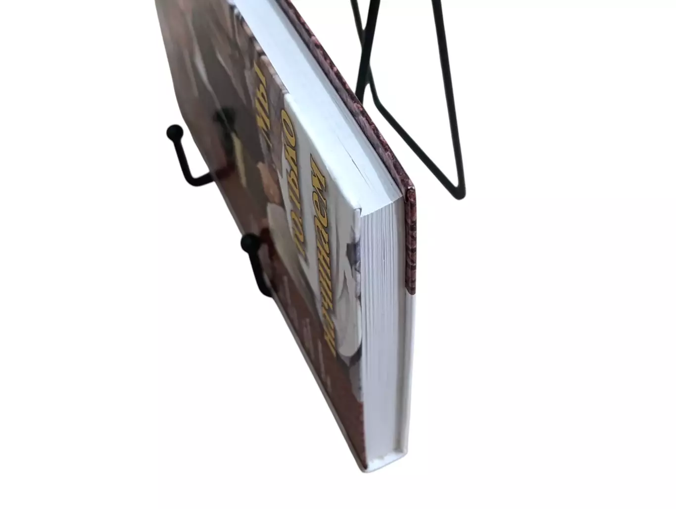 Нэнси Ван Пелт Мы только начинаем 2001 3