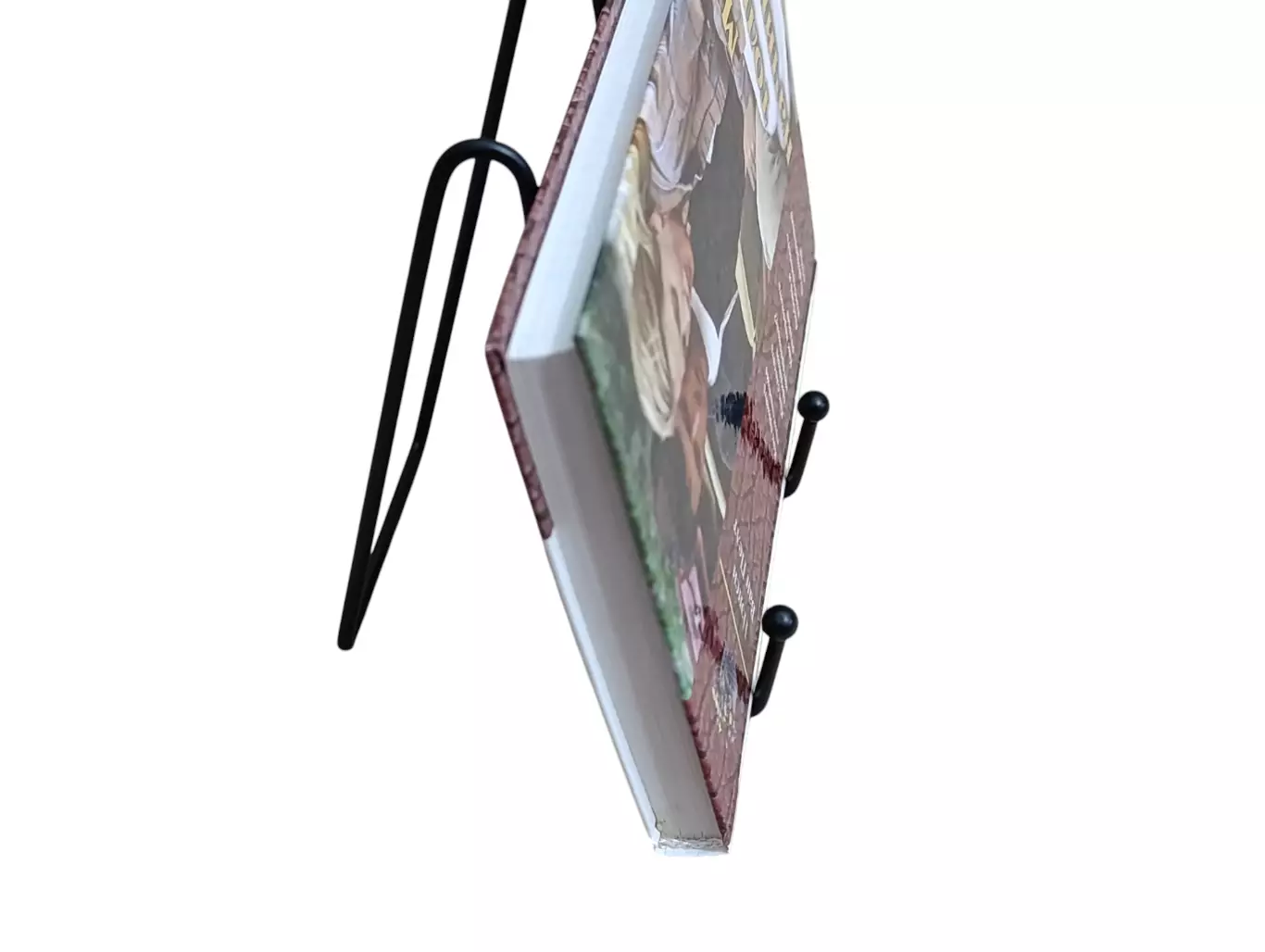 Нэнси Ван Пелт Мы только начинаем 2001 4