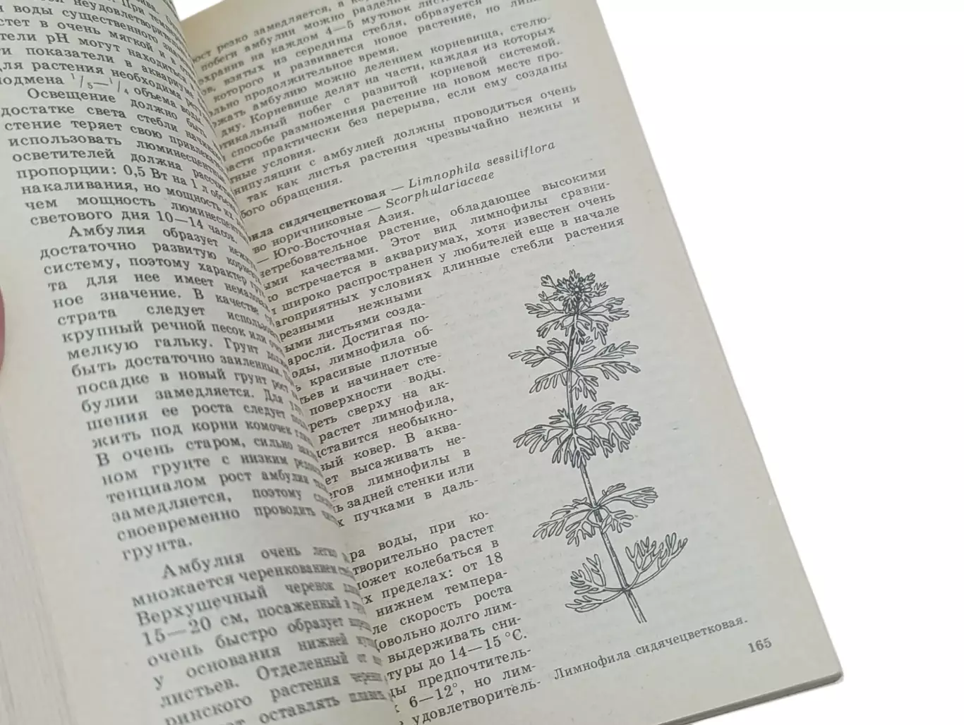 М.Б. ЦИРЛИНГ АКВАРИУМ и водные Растения 1991 2