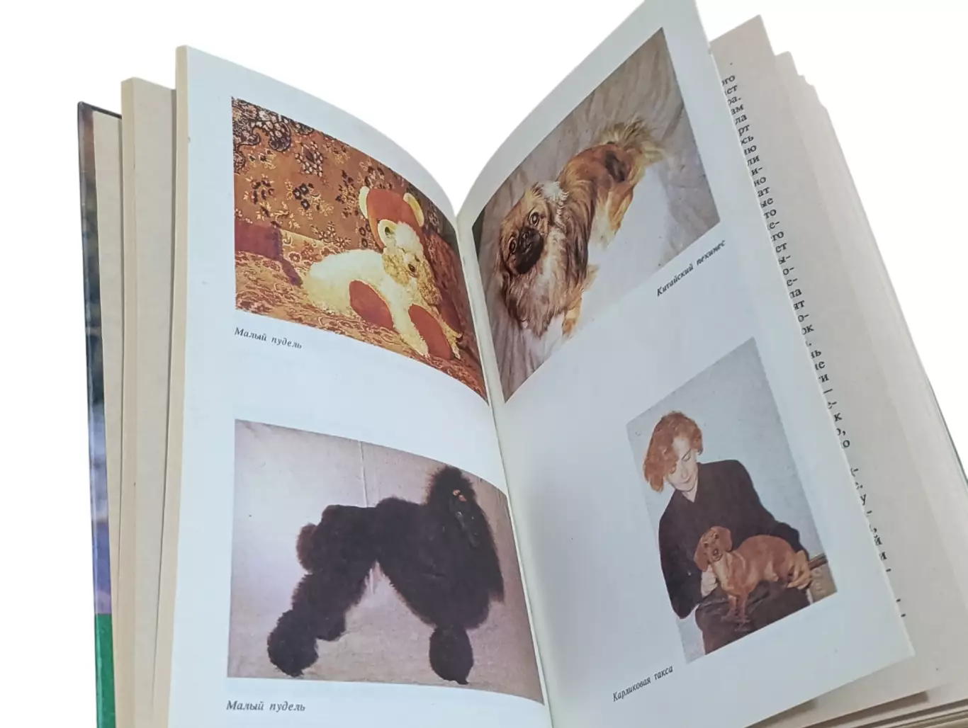 ВАШИ ДОМАШНИЕ ЛЮБИМЦЫ Сборник А. В. Лебедев 1994 1