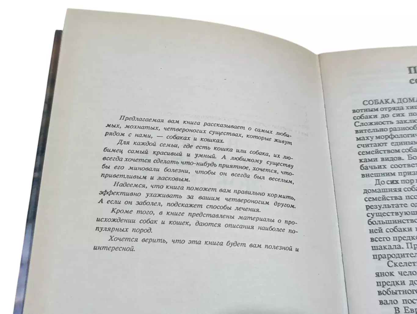 ВАШИ ДОМАШНИЕ ЛЮБИМЦЫ Сборник А. В. Лебедев 1994 3