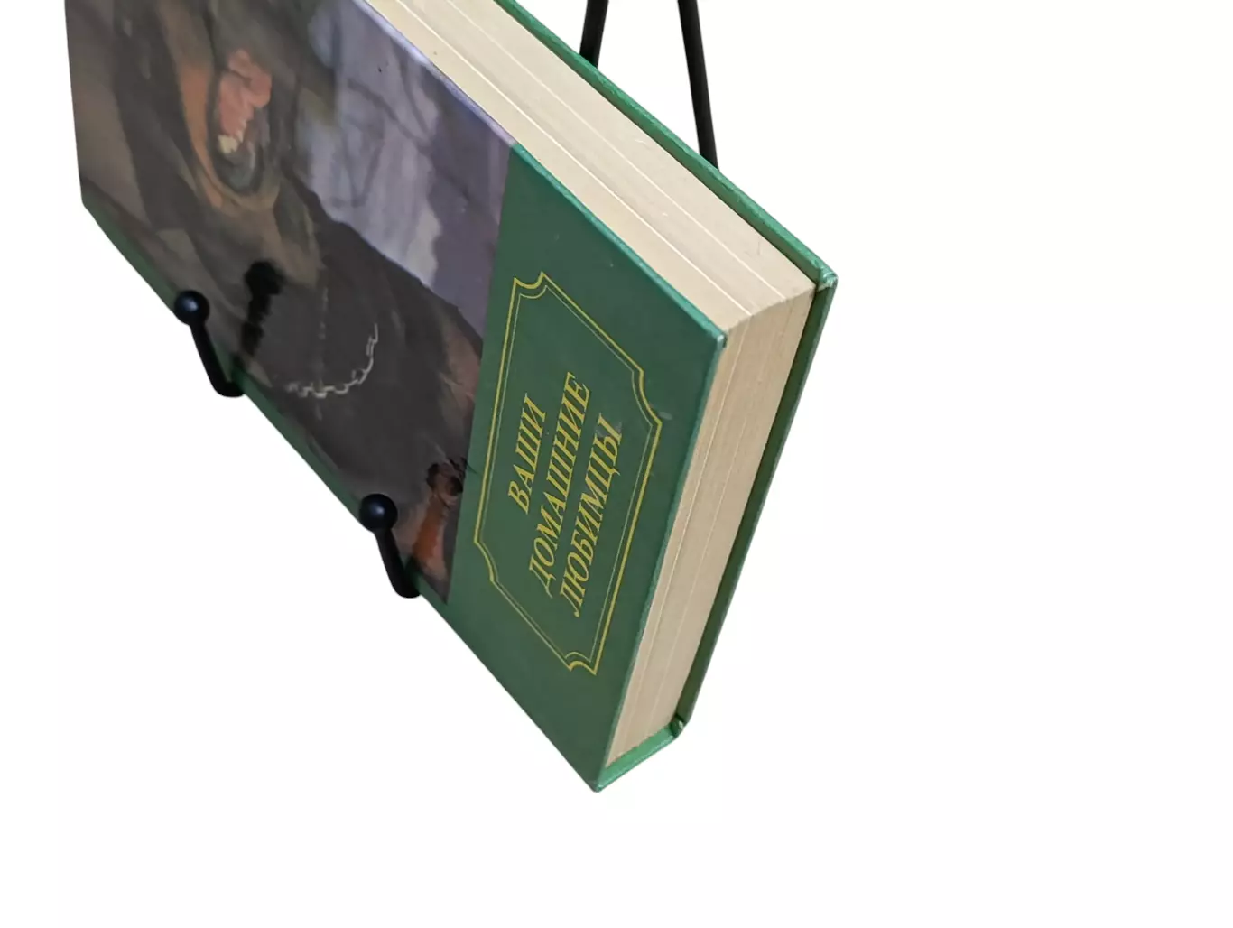 ВАШИ ДОМАШНИЕ ЛЮБИМЦЫ Сборник А. В. Лебедев 1994 5