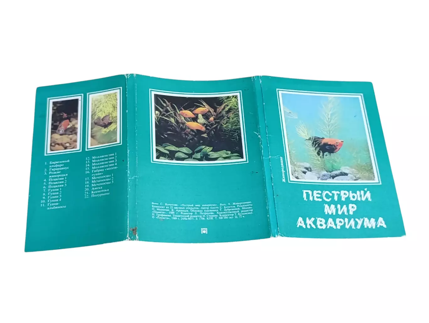 НАБОР ОТКРЫТОК ПЕСТРЫЙ МИР АКВАРИУМА СССР 1989 ГОД ПОЛНЫЙ 22 ШТУКИ 1