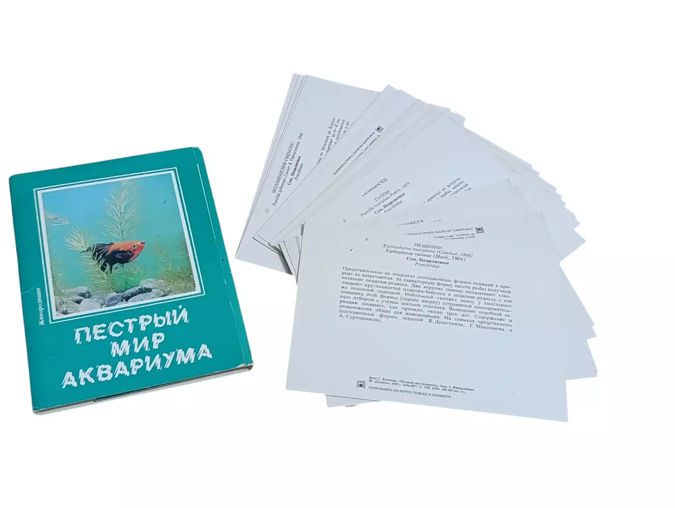 НАБОР ОТКРЫТОК ПЕСТРЫЙ МИР АКВАРИУМА СССР 1989 ГОД ПОЛНЫЙ 22 ШТУКИ 2