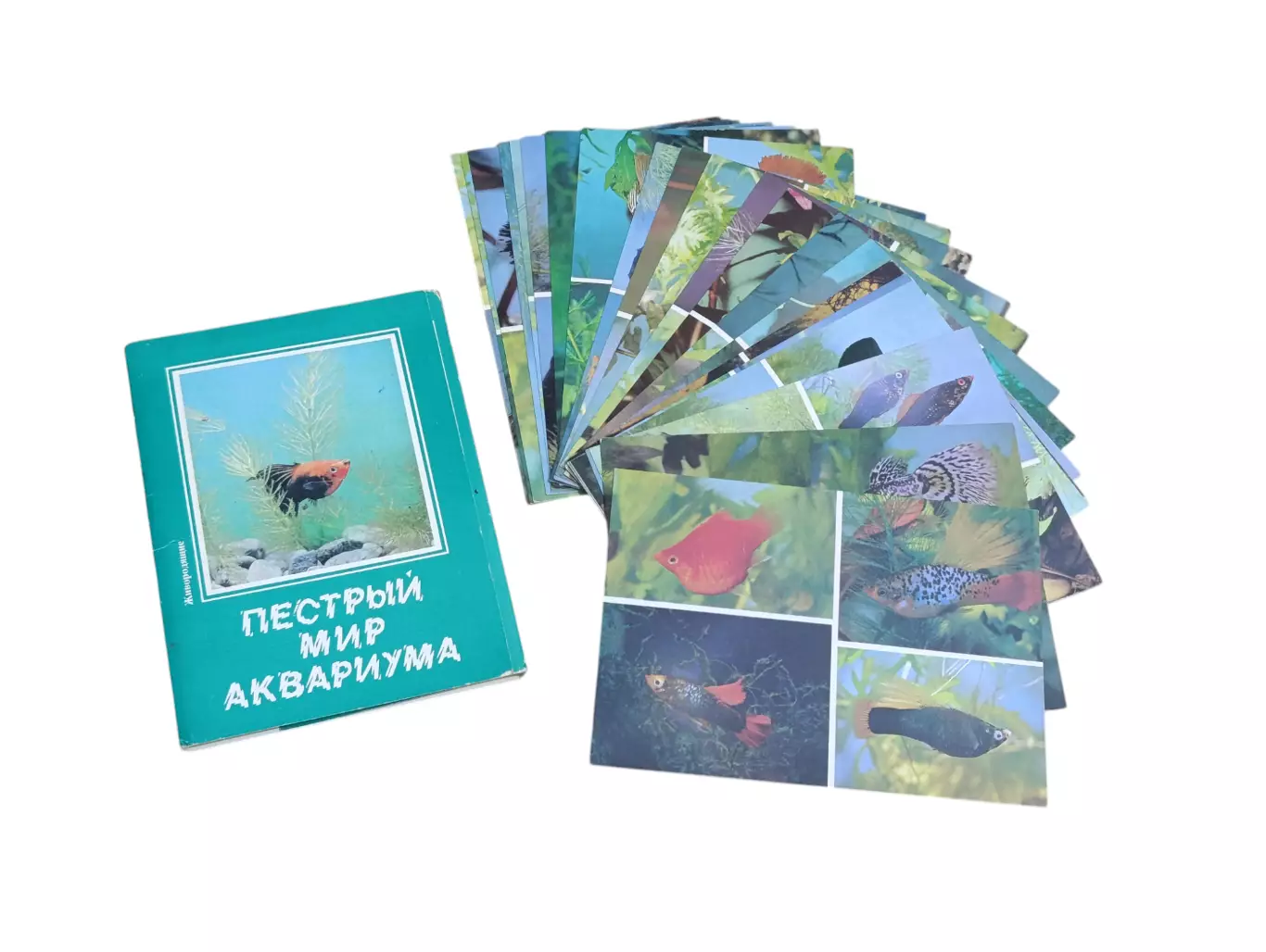 НАБОР ОТКРЫТОК ПЕСТРЫЙ МИР АКВАРИУМА СССР 1989 ГОД ПОЛНЫЙ 22 ШТУКИ