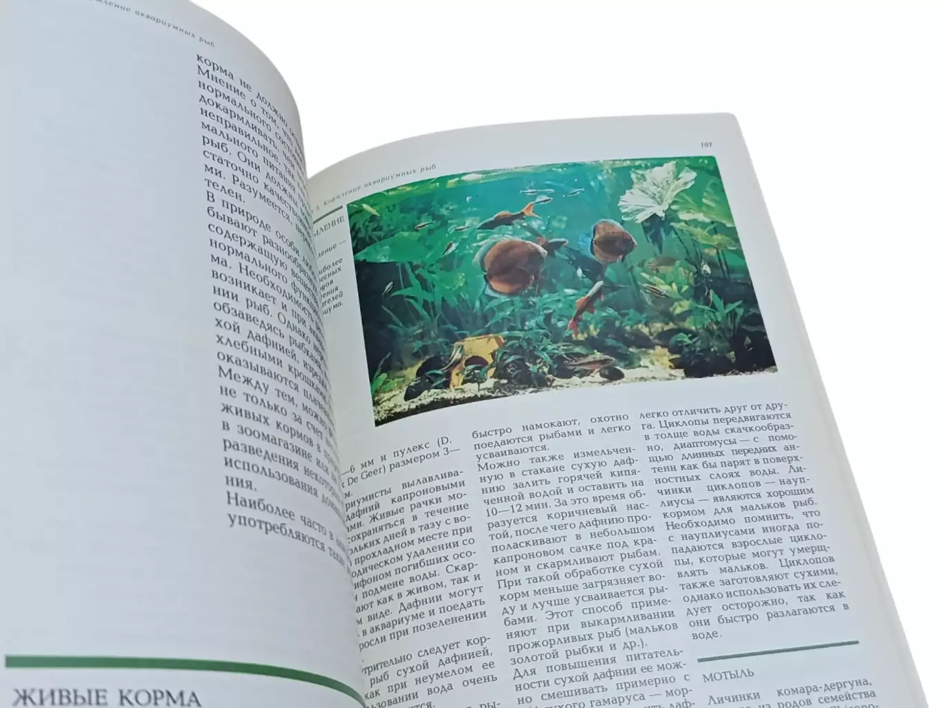 Романишин Г. Ф., Мишин В. Н. Мир аквариума 1986 2