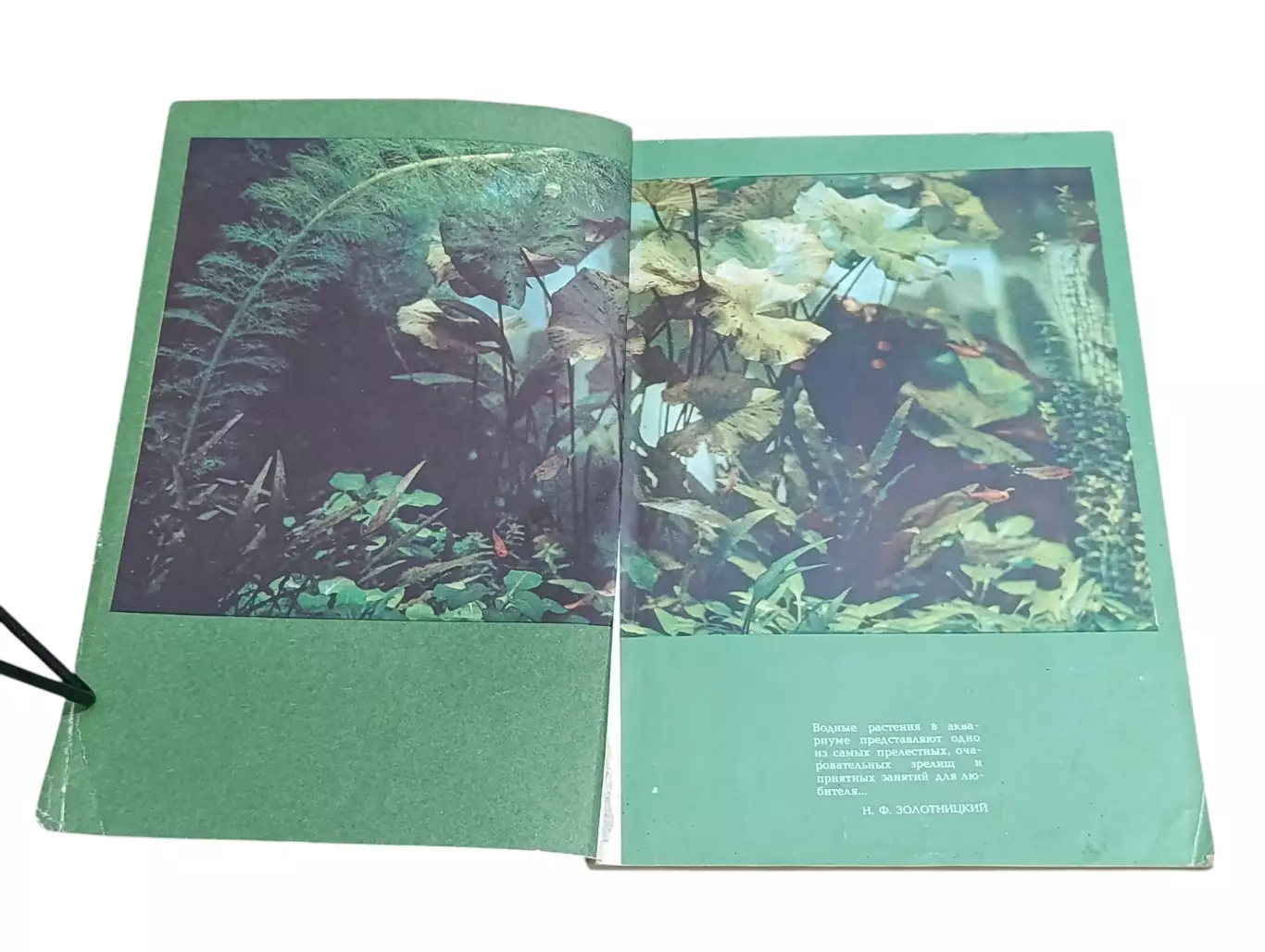 Романишин Г. Ф., Мишин В. Н. Мир аквариума 1986 4