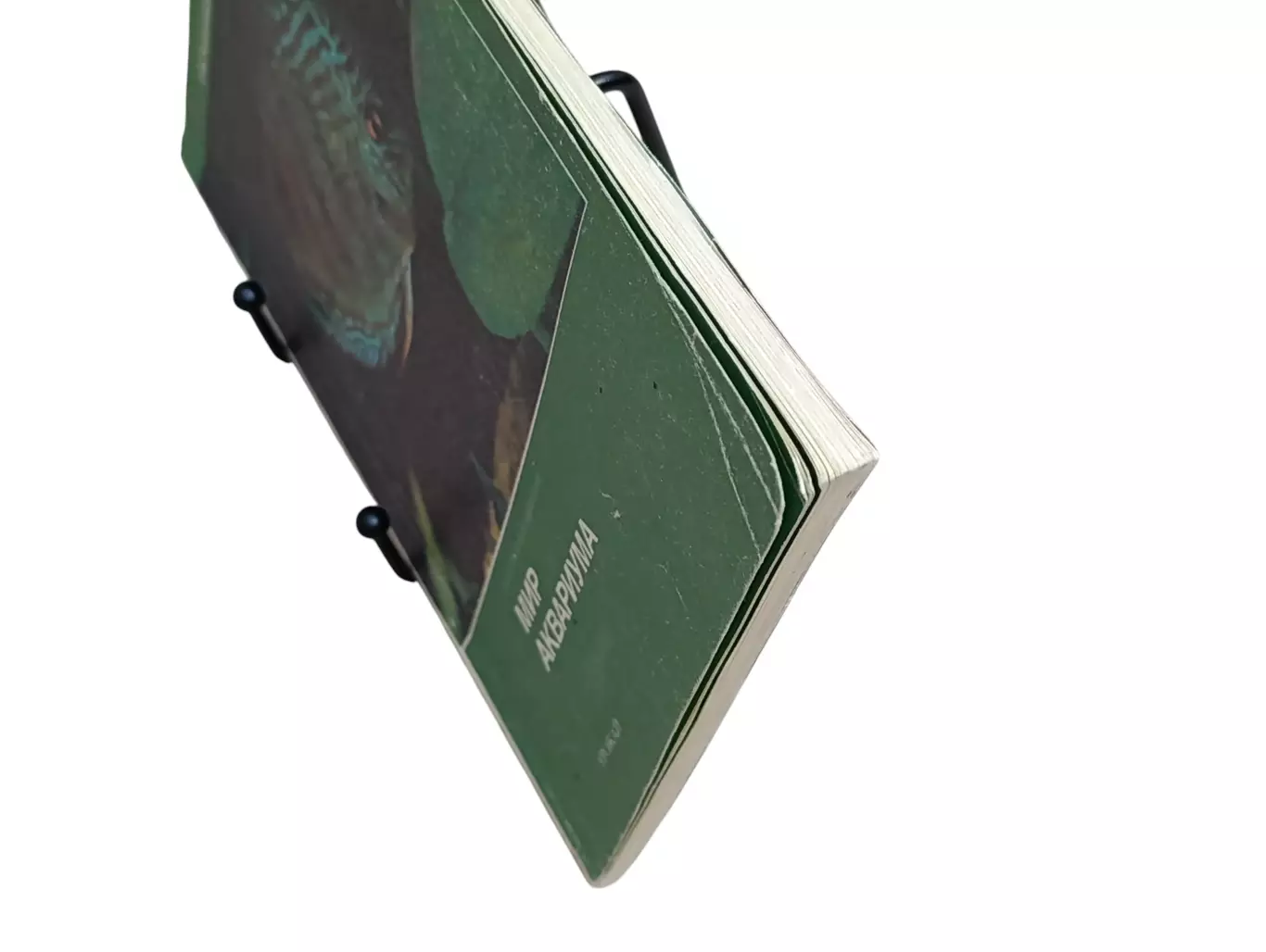 Романишин Г. Ф., Мишин В. Н. Мир аквариума 1986 6