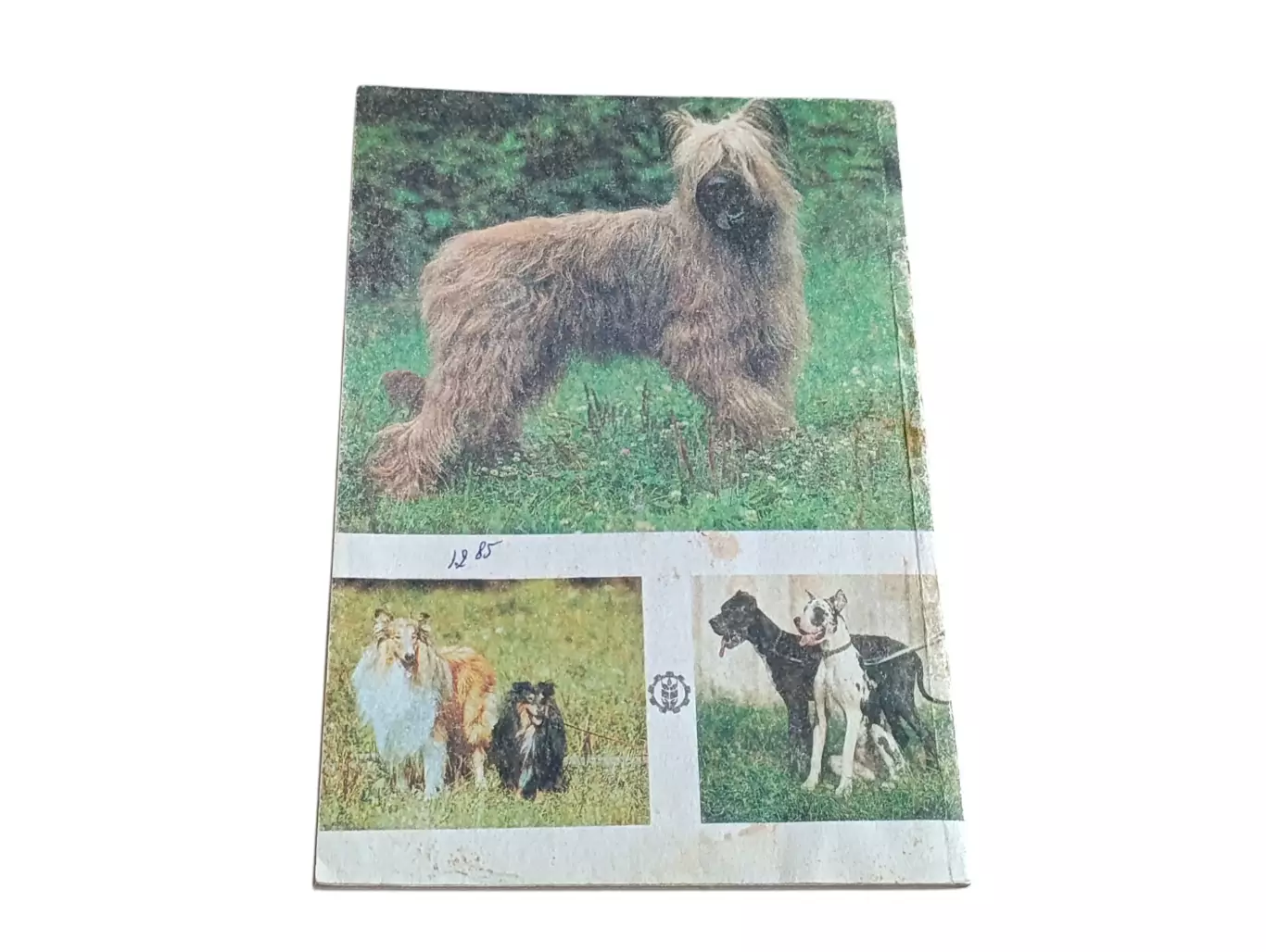 Рукероль жорж в. книга о собаках 1992 7