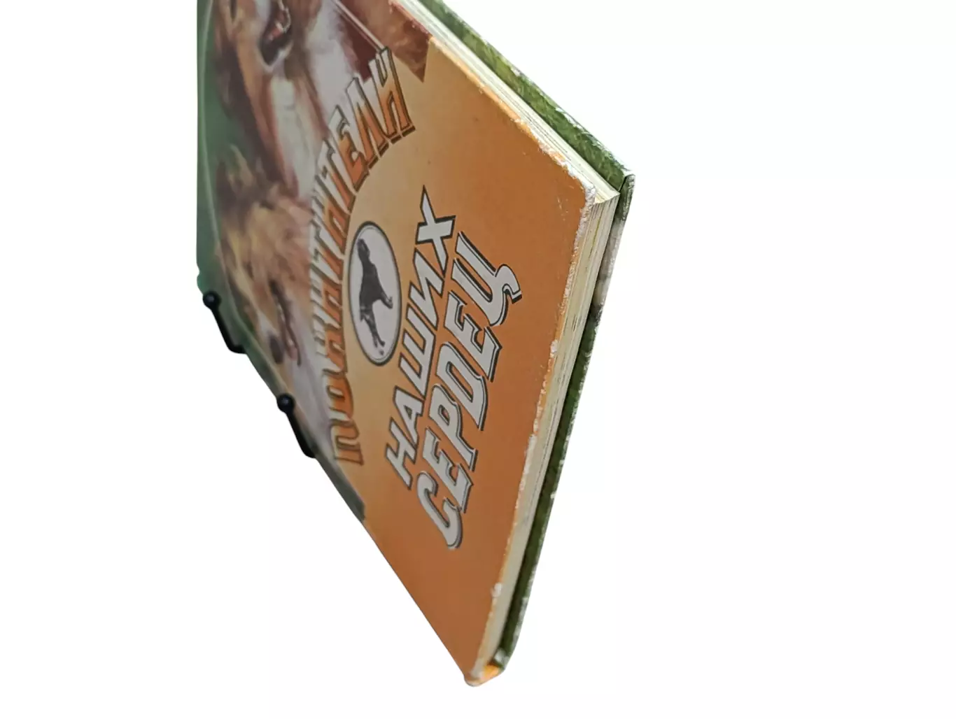 Книга Похитители наших сердец 1993 1