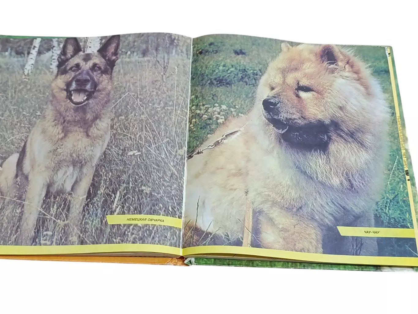 Книга Похитители наших сердец 1993 3