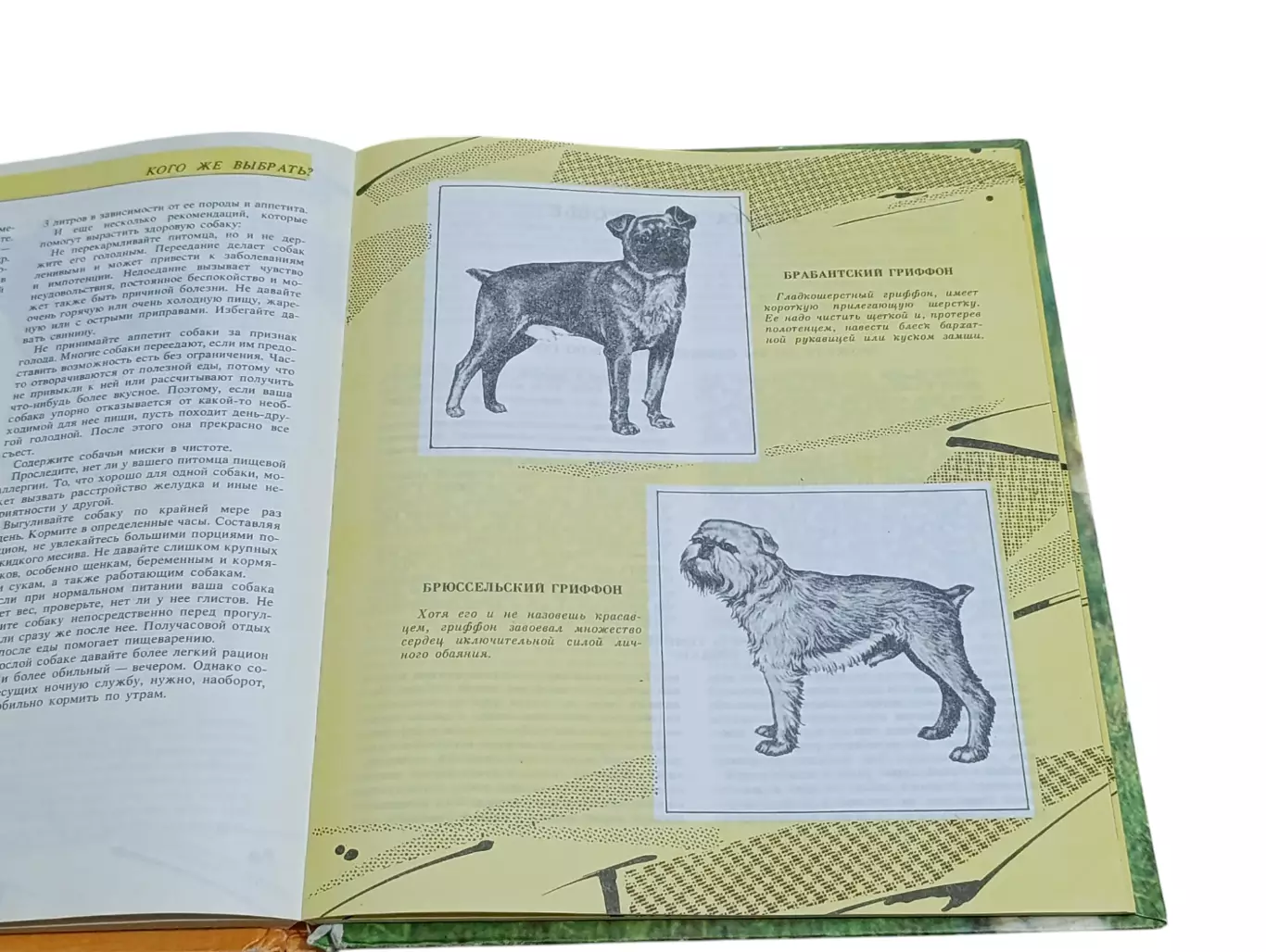 Книга Похитители наших сердец 1993 6