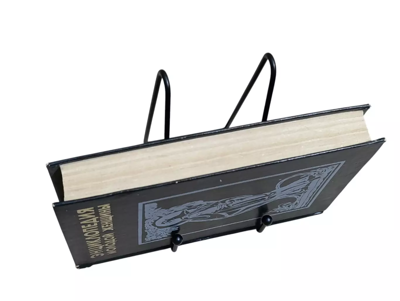 ЭНЦИКЛОПЕДИЯ МОЛОДОЙ ЖЕНЩИНЫ 1995 2