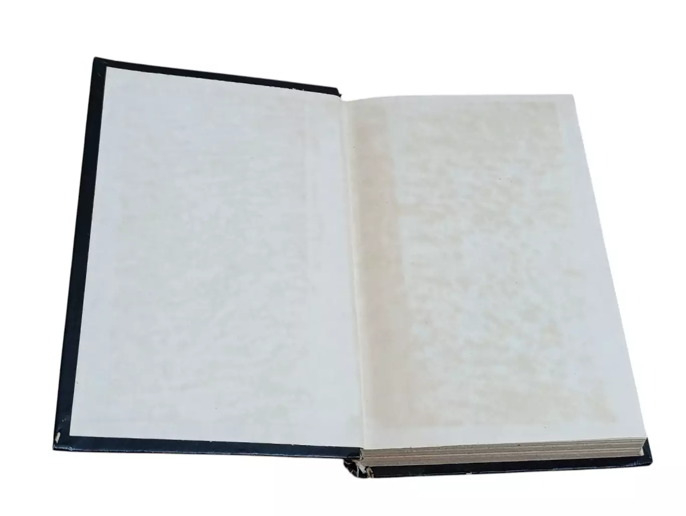 ЭНЦИКЛОПЕДИЯ МОЛОДОЙ ЖЕНЩИНЫ 1995 3