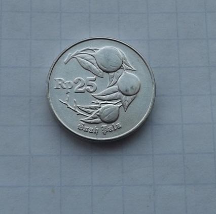 Индонезия 25 рупий 1996 год