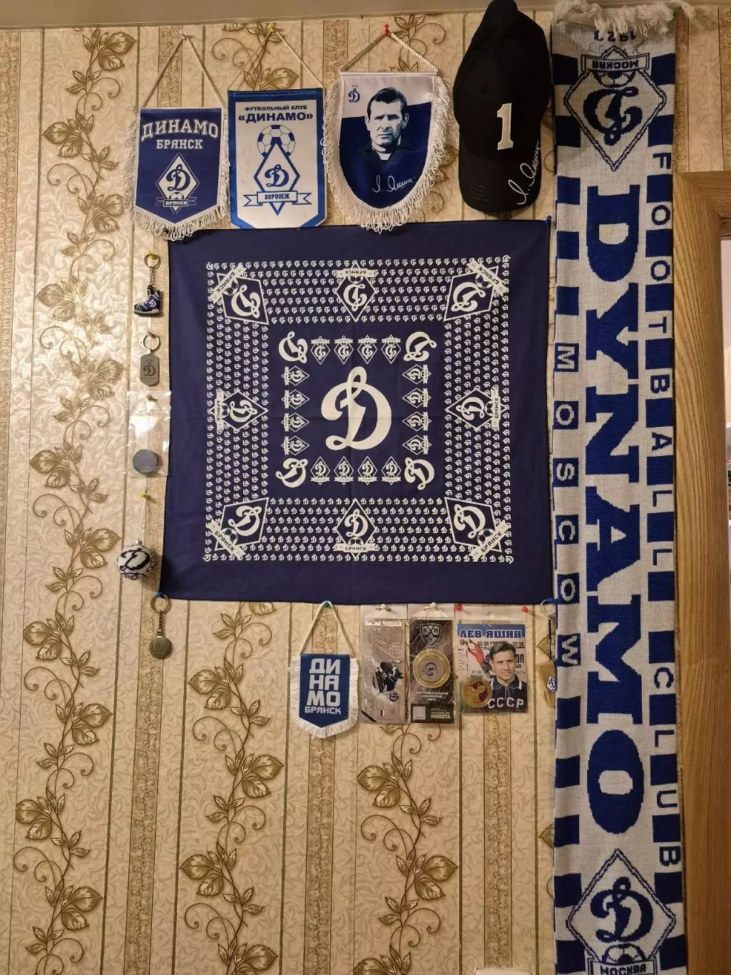 Коллекция Динамо