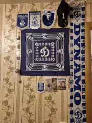Коллекция Динамо