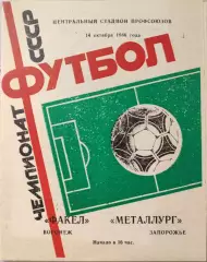 Факел Воронеж - Металлург Запорожье 14.10.1986