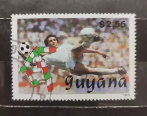 Гайана 1989 Чемпионат мира по футболу Италия 1990 посвящённая зборной ФРГ. 1марк