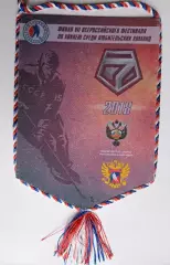 Финал VII Всероссийского фестиваля по хоккею среди любителей 2018 // Ночная лига