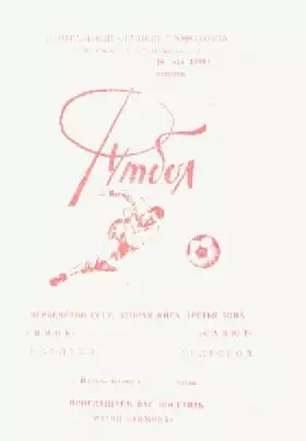 Программка. Футбол. Химик (Семилуки) -Салют (Белгород). 1989г.