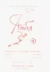 Программка. Футбол. Химик (Семилуки) -Салют (Белгород). 1989г.