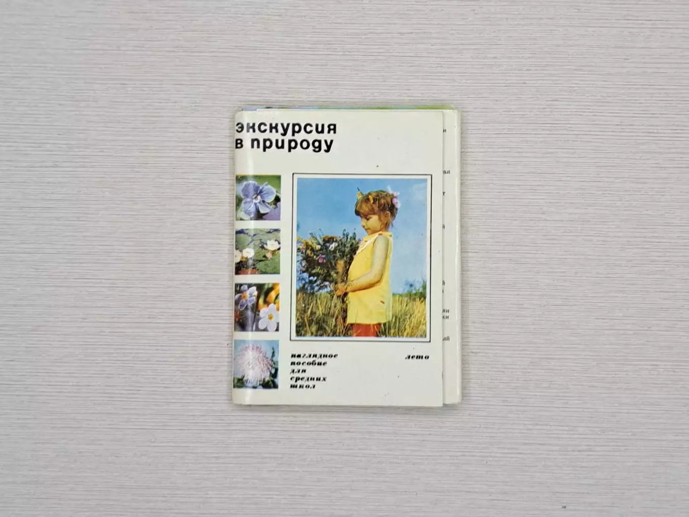 Пособие по ботанике для школьников 5-6 классов, СССР 1973 год