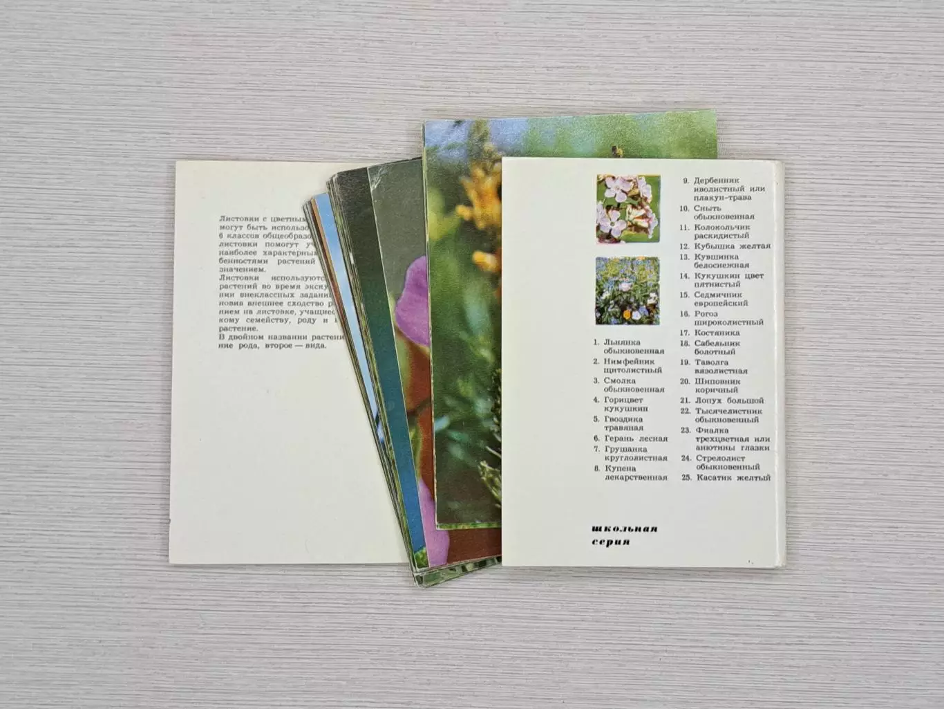 Пособие по ботанике для школьников 5-6 классов, СССР 1973 год 2