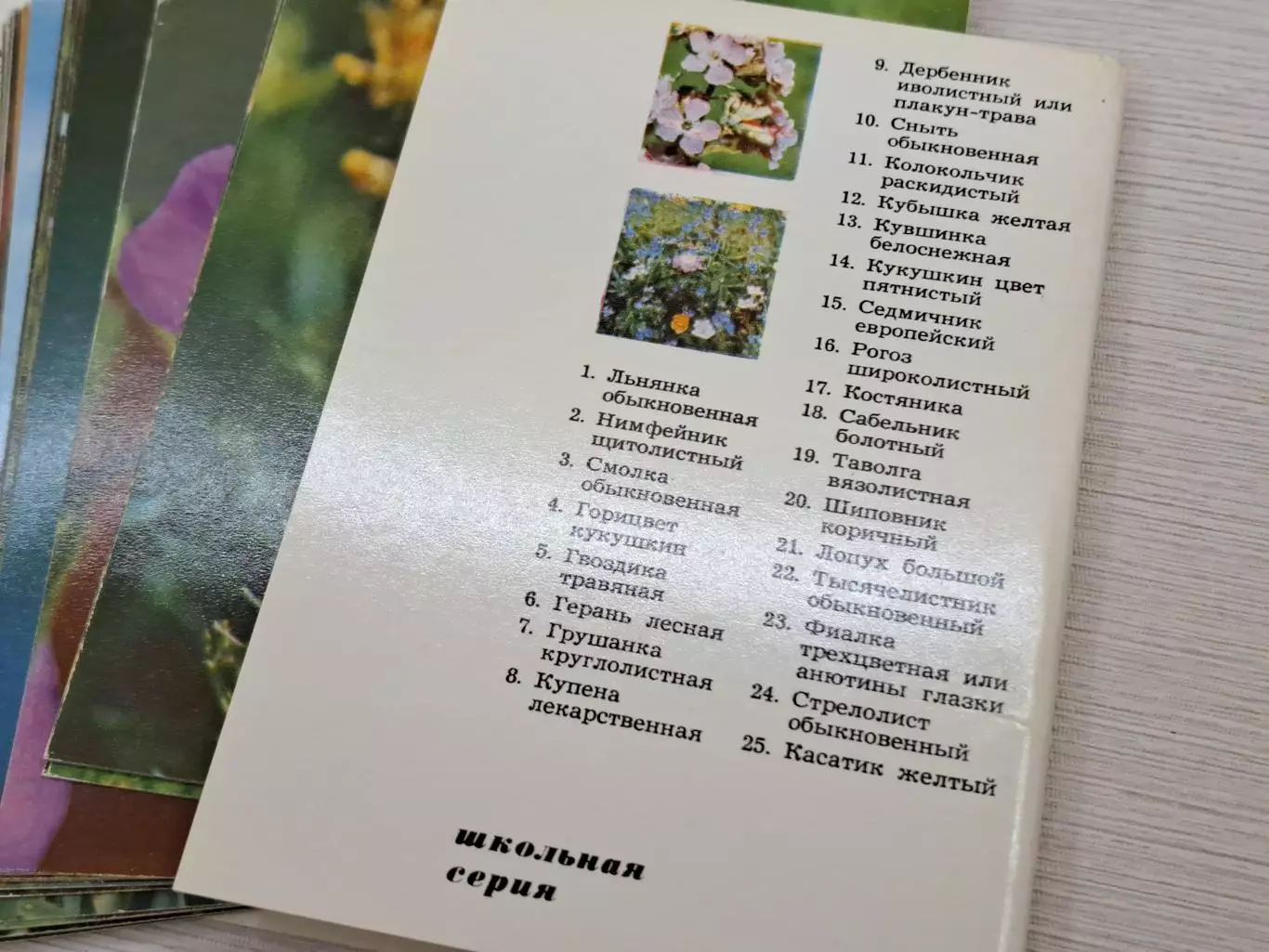 Пособие по ботанике для школьников 5-6 классов, СССР 1973 год 3