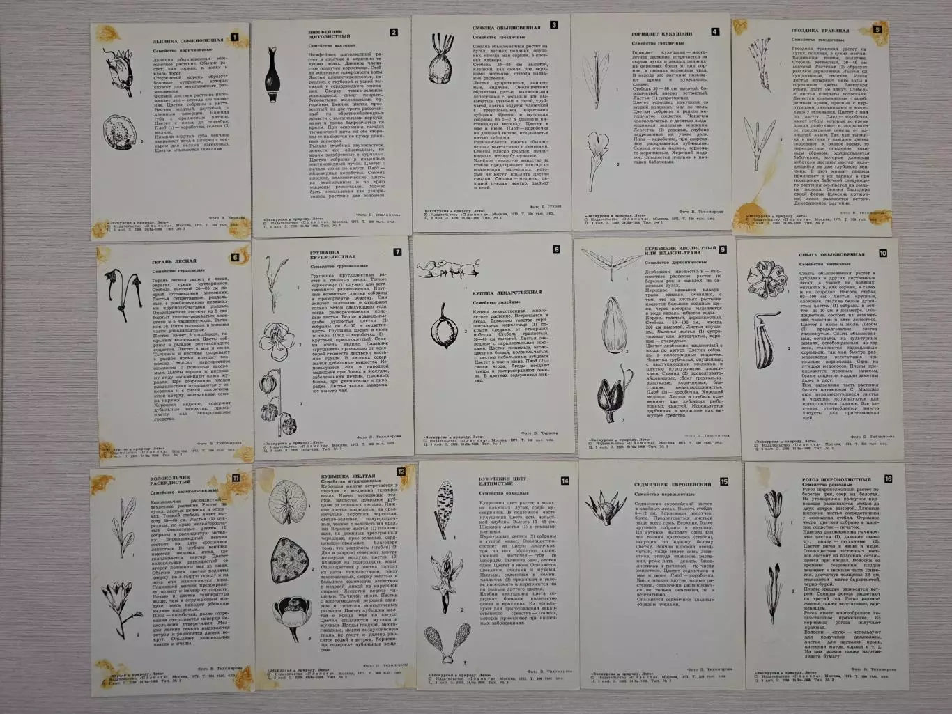 Пособие по ботанике для школьников 5-6 классов, СССР 1973 год 5