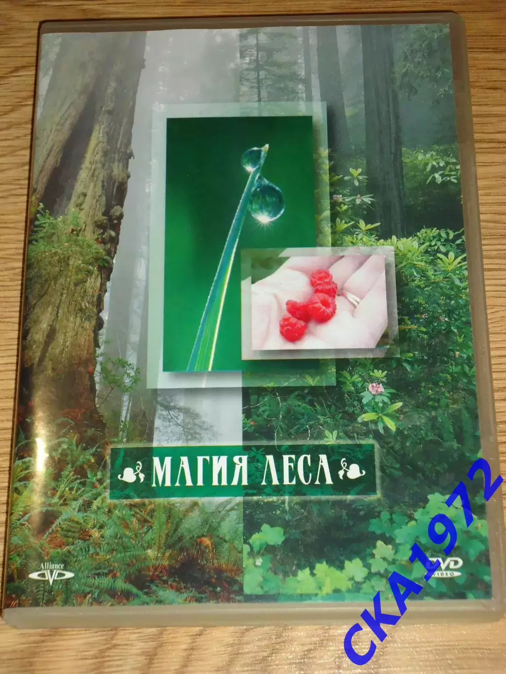 DVD Магия леса