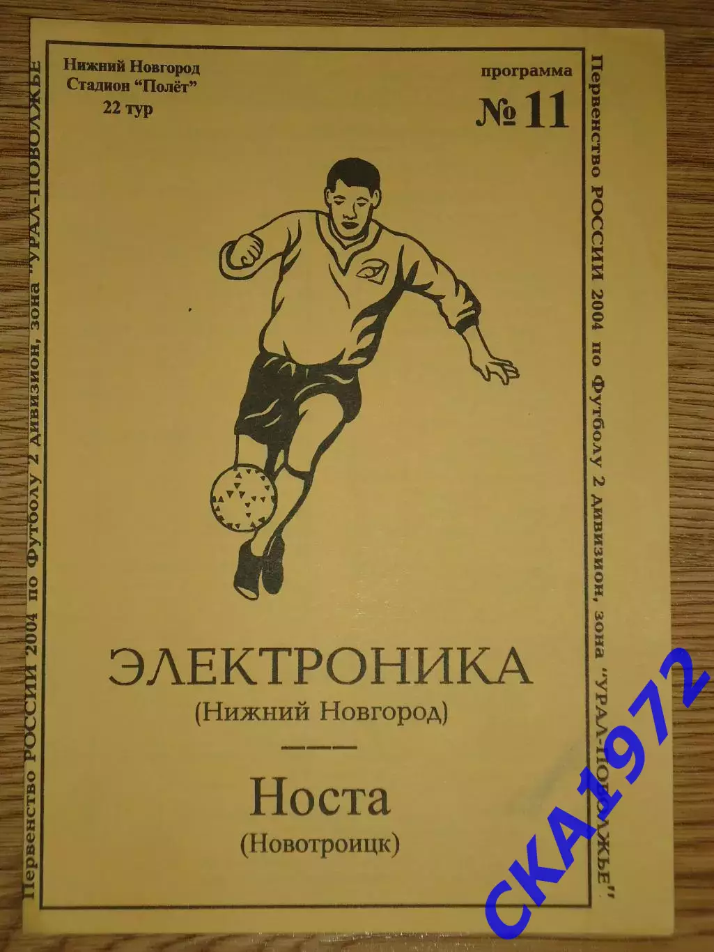 программа Электроника Нижний Новгород - Носта Новотроицк 2004
