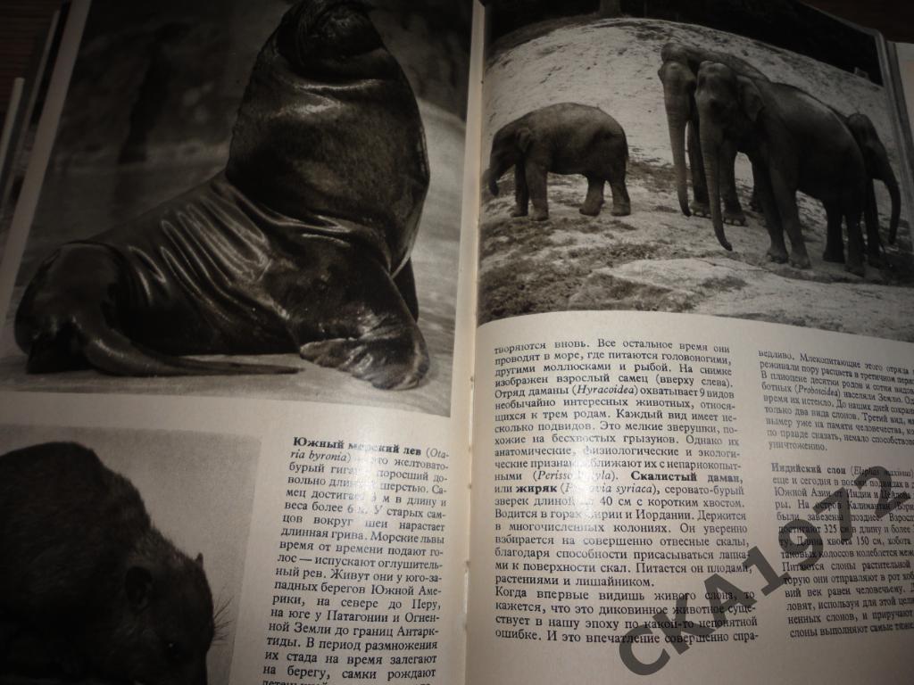 Иллюстрированная энциклопедия животных Издание Прага 1972 год 612 страниц 6