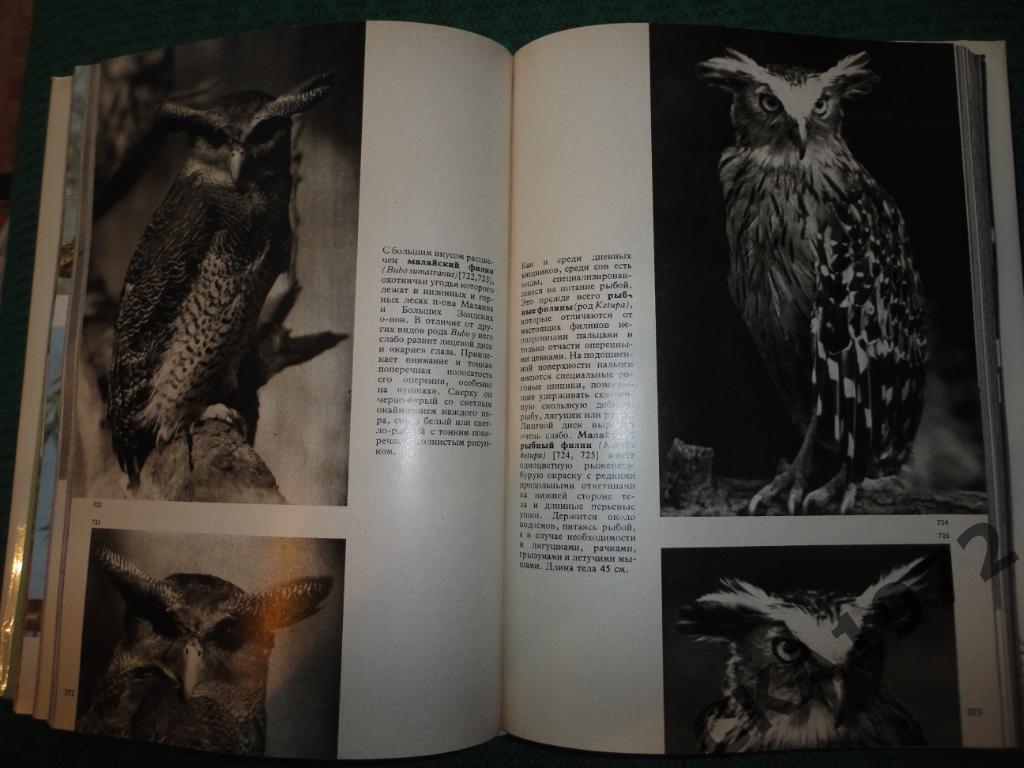 Иллюстрированная энциклопедия птиц Издание ЧССР 1984 год 582 страницы 6